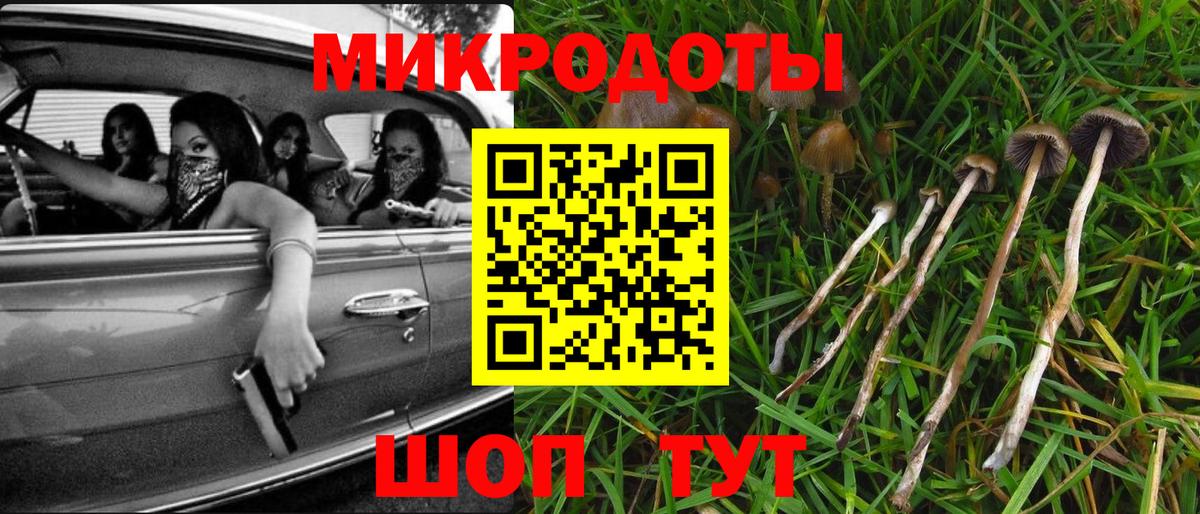 Псилоцибиновые грибы Cubensis  Псилоцибиновые грибы MAGIC MUSHROOMS  Черкесск  Вход с VPN 
