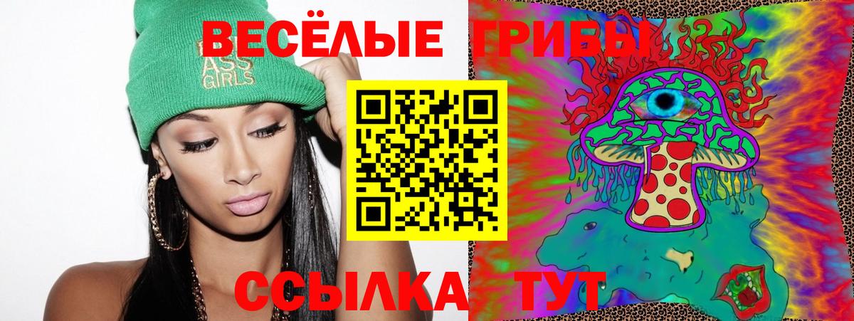 Галлюциногенные грибы Psilocybe Черкесск